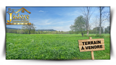 Terrain Vente Anould  2890m² 91000€