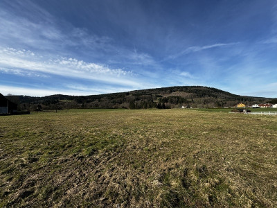 Terrain 6536 m²