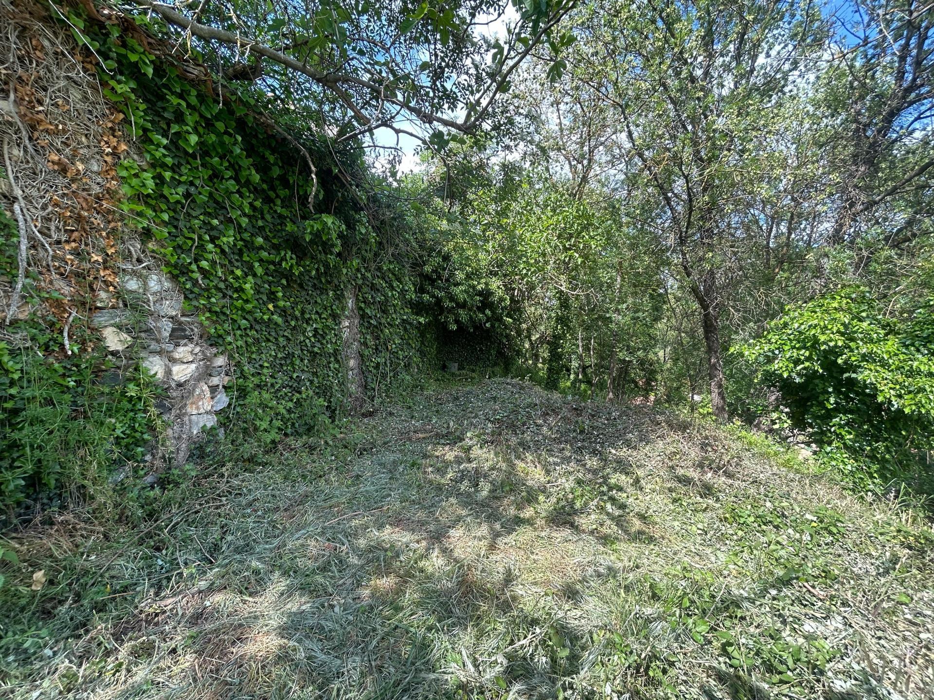 Ruine en pierres de 120m² sur terrain constructible de 720m² 