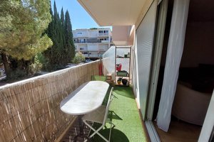 Appartement Location Montpellier 3p 66m² 731€