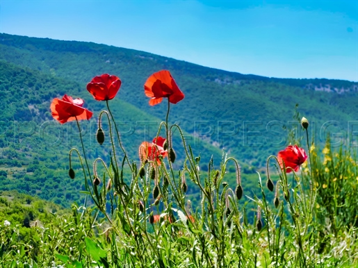 Provence â Ferme Agricole â 130 Ha â Sources â Lacs