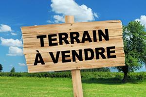 Terrain Constructible 25 Km du MANS