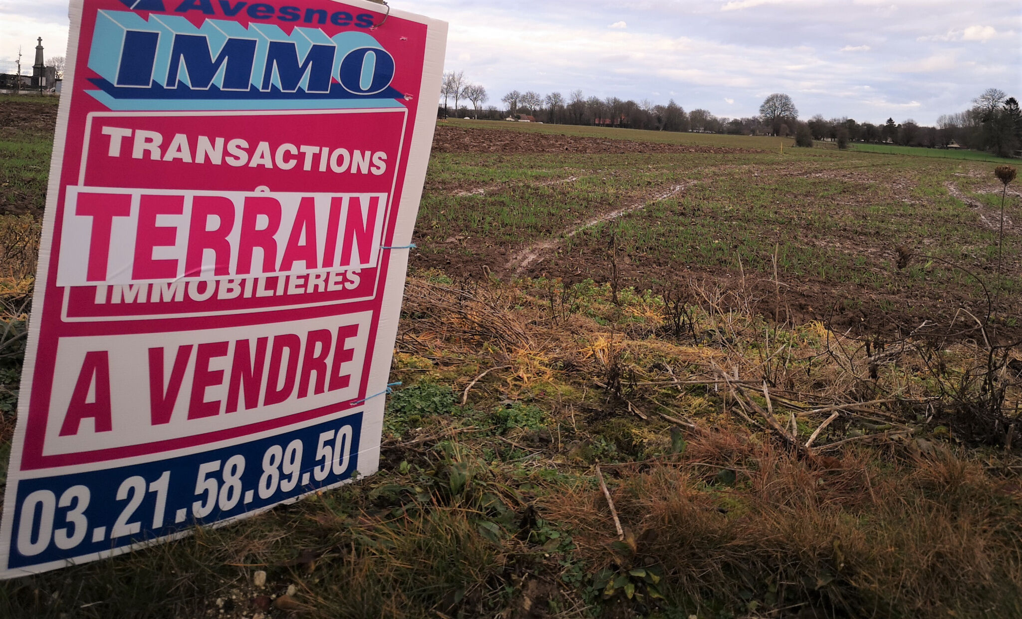 Vente Terrain 1000 m² à Aubigny-en-Artois 59 000 €
