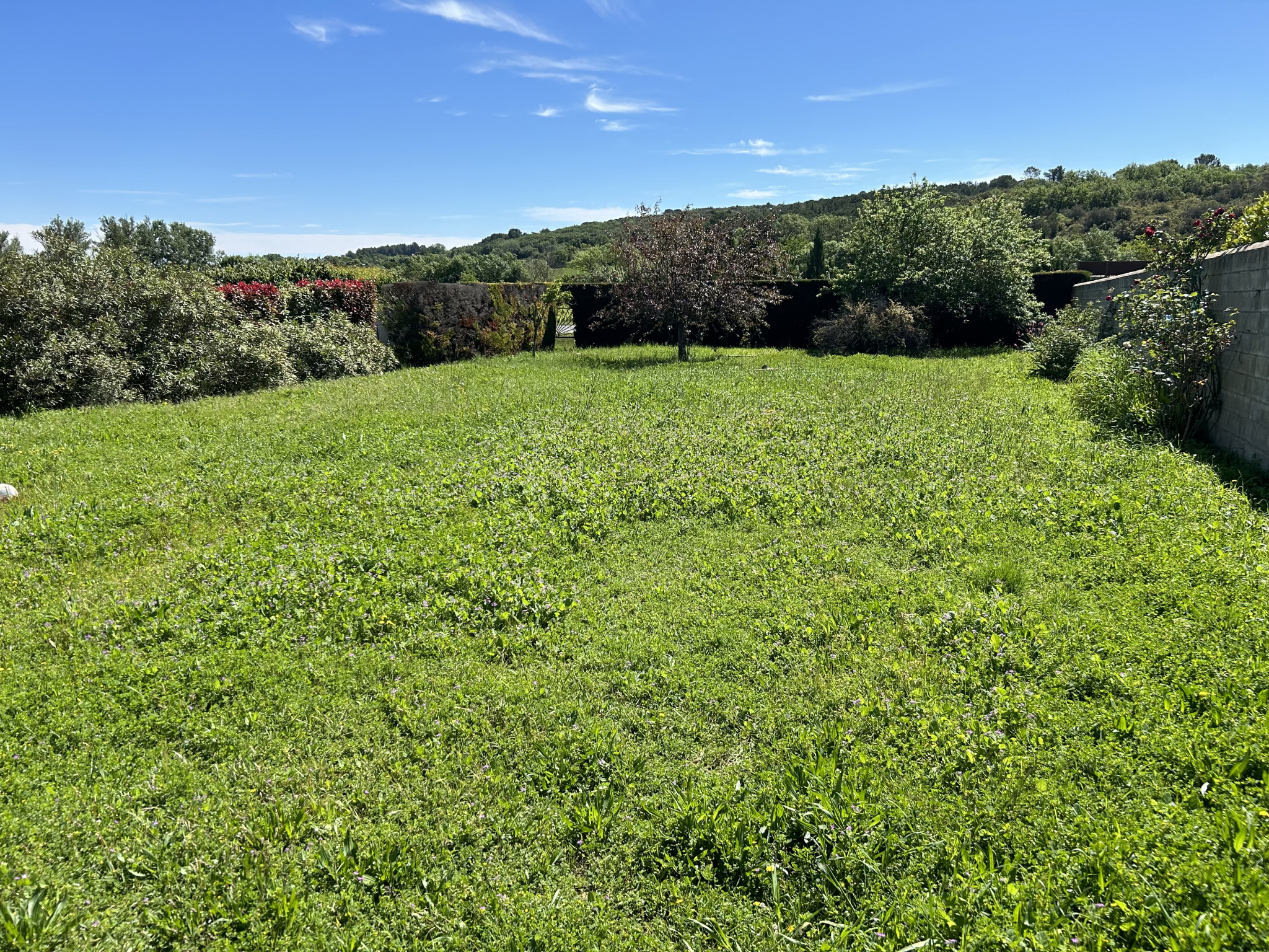 Terrain Vente Saint-Mamert-du-Gard  803m² 129000€