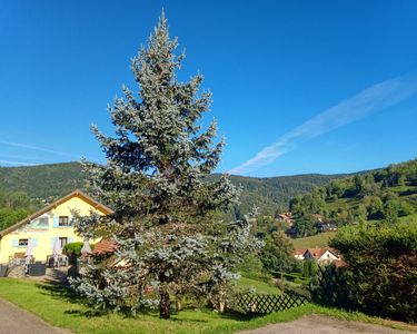 Maison d'hôtes et gîte 12 pièces 300m2