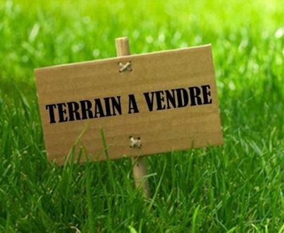 Terrain Vente La Roche-sur-Yon  980m² 140000€