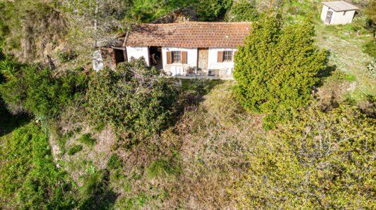 Terrain Vente Nice  4478m² 390000€