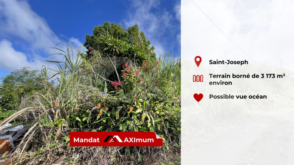 Terrain Vente Saint-Joseph  3173m² 275000€