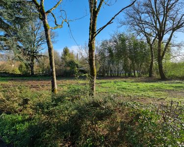 Terrain à la campagne