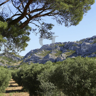 Vente en nue-propriété dans la région de Saint-Rémy de Provence