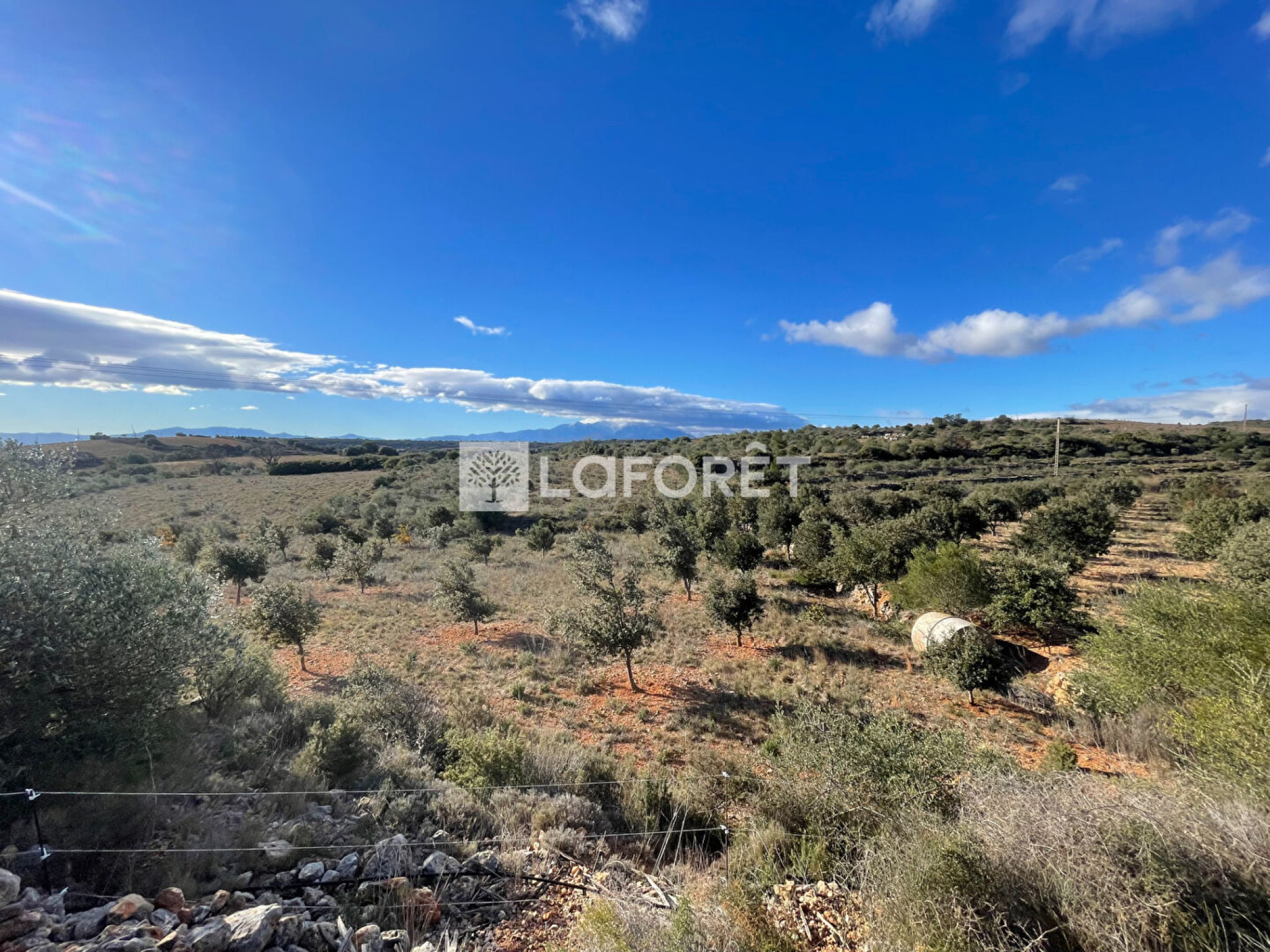 Terrain agricole sur une parcelle de 2 hectares d