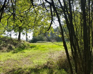 Terrain pour investisseur