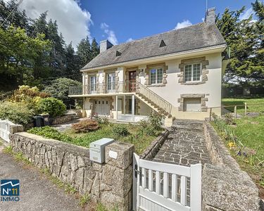 Maison traditionnelle avec grand terrain et hangar (370 m²) 