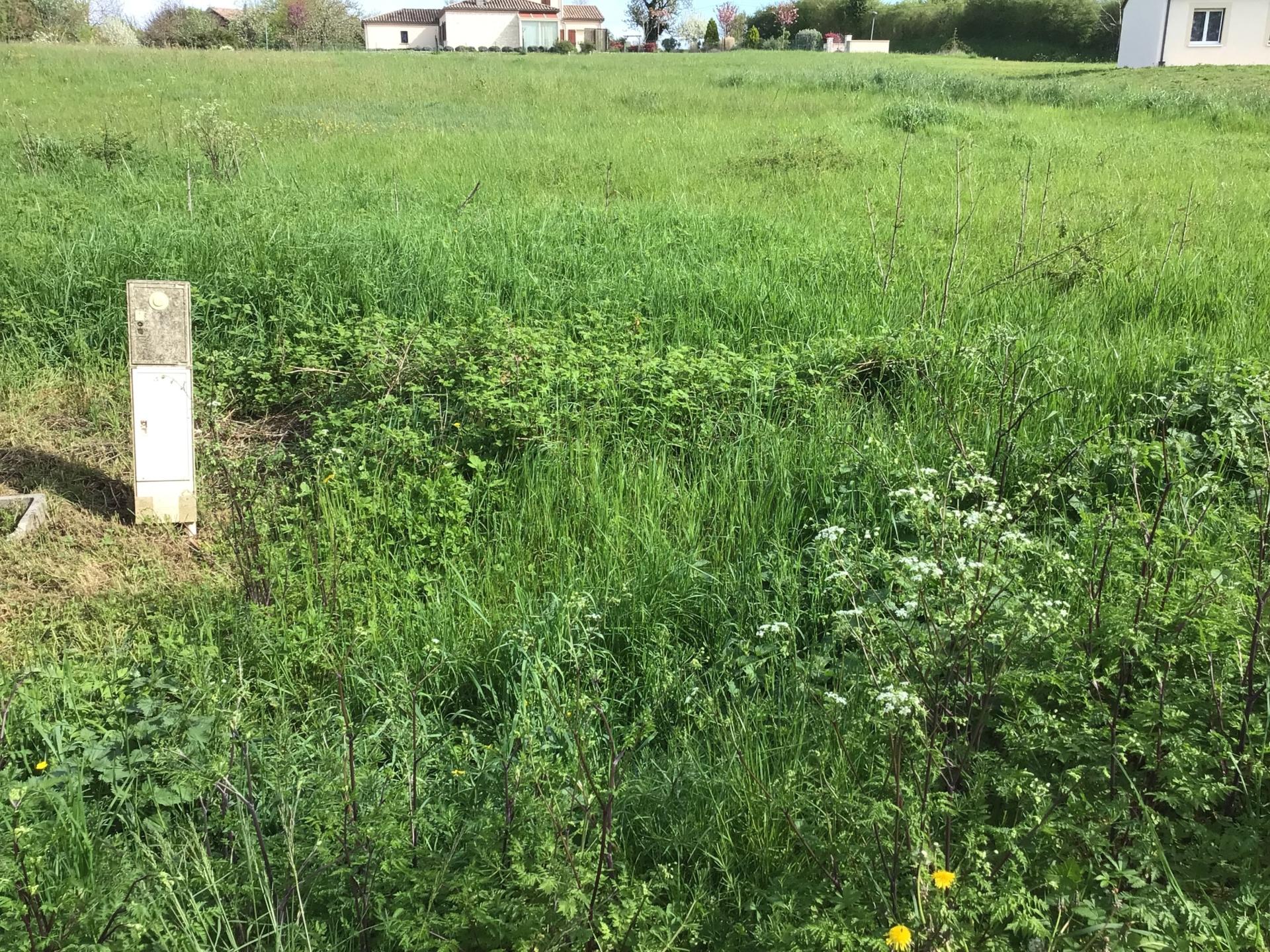 Terrain à bâtir.