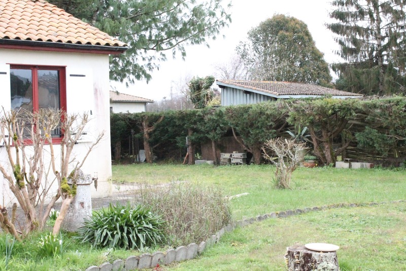 Dpt Gironde (33), Maison et jardin à Berson