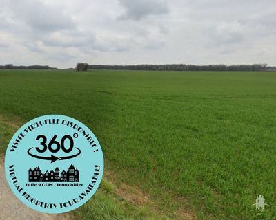 Terrains agricole à St-Pierre-de-Maillé : environ 3,3 hectares