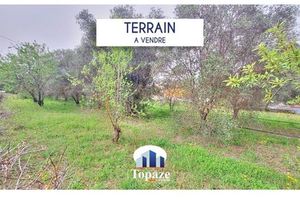 Terrain - 650m ²