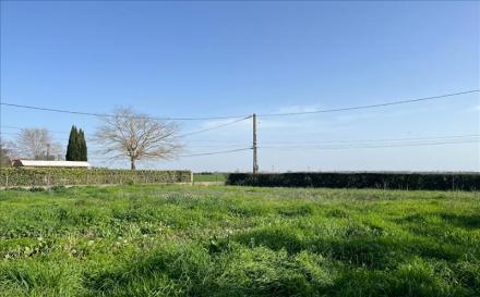 Terrain 850 m²