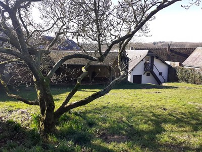 Maison 4 chambres et dépendances avec 2817 m² de terrain