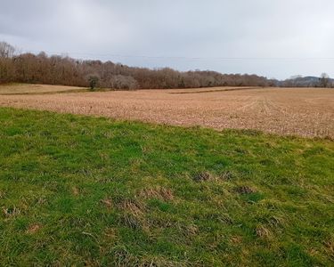 Vente propriété agricole