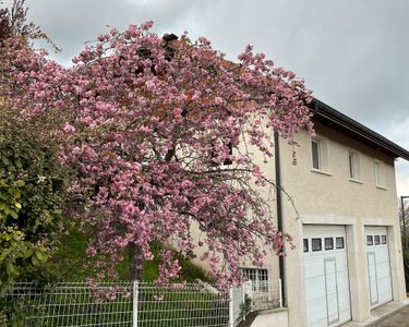 Maison ,appartement 150 m2