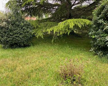 Terrain 504 m² Salaunes