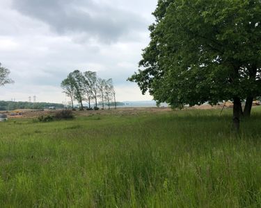 Terrain 565 m² Cattenom