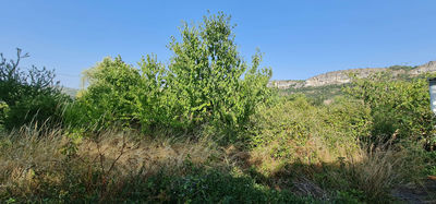 Terrain Vente Aubenas  4000m² 140000€