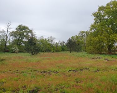 Terrain à bâtir - 2988 m²