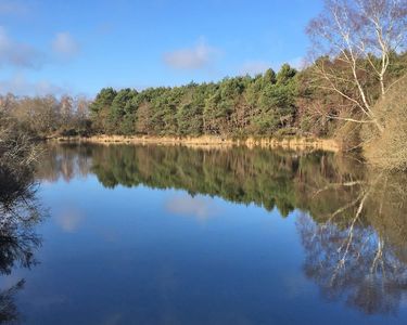 Territoire de Chasse, Pêche & Agrément 36 hectares en Charente