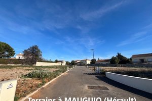 Terrain 320 m² 