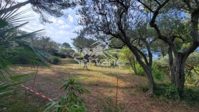 Terrain Vente Salernes  1670m² 180000€