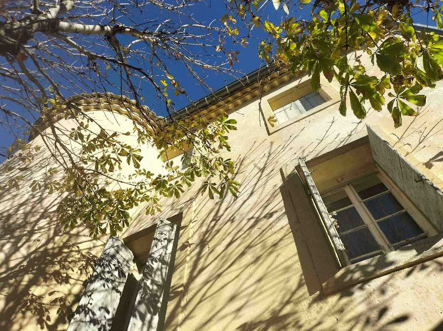 MAISON VIGNERONNE AVEC JARDIN ET LOCAUX PROFESSIONNELS