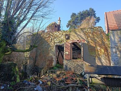 Terrain + maison en ruine 