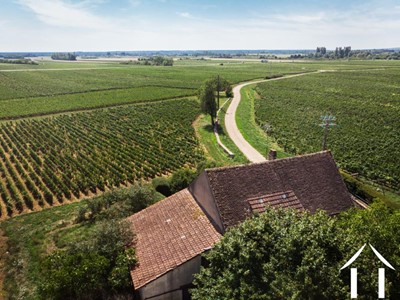 Maison en pierre dans les vignes