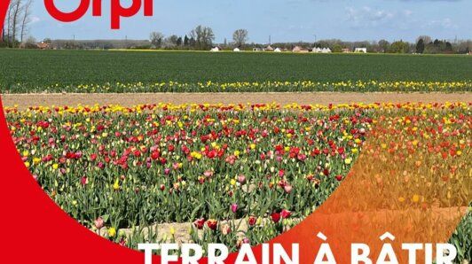 Terrain Vente Templeuve-en-Pévèle  479m² 170000€