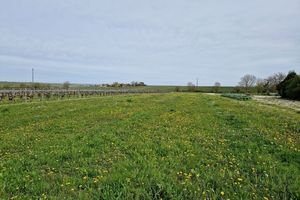 Terrain à bâtir de 3980 m² à PERIGNAC (17)