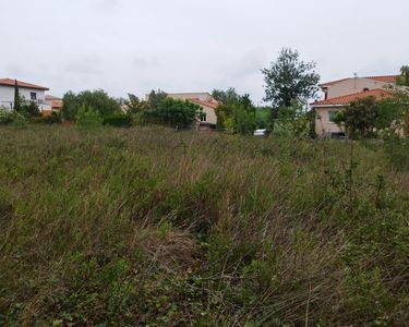 Terrain Vente Claira  1500m² 375000€