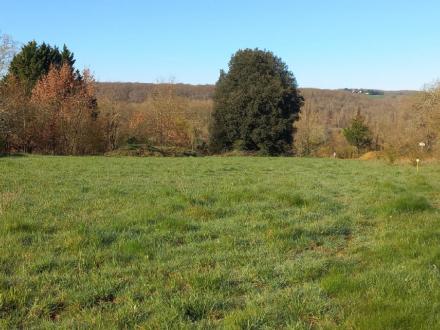 Terrain 1800 m²