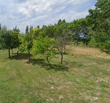 Terrain Vente Artigues-près-Bordeaux  600m² 225500€