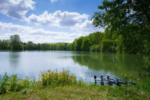 COTES d'ARMOR - Lac de pêche à la carpe avec cabane en bois