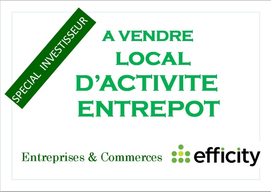 Immobilier professionnel Vente Brindas  178m² 332900€