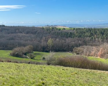 Terrain Vue Pyrénées