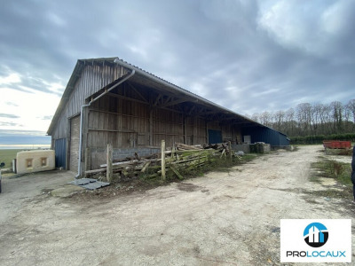 Local commercial 430 m²