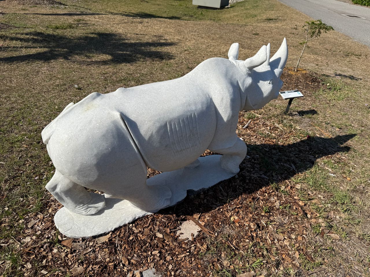 White Rhino by Chango Chitoko | ZimSculpt