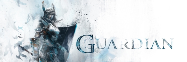 Guardian z Guild Wars 2 v detailech