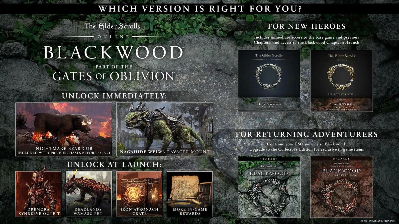 Blíže představeno The Elder Scrolls Online: Gates of Oblivion