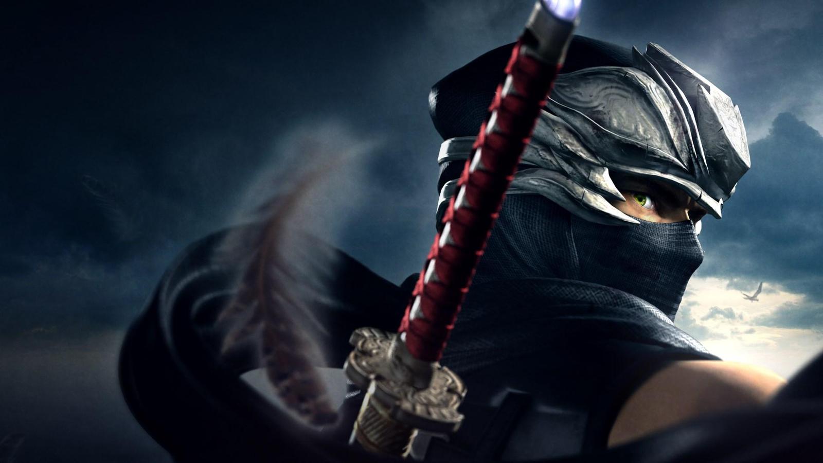 Team Ninja nevylučuje outsourcing série Ninja Gaiden