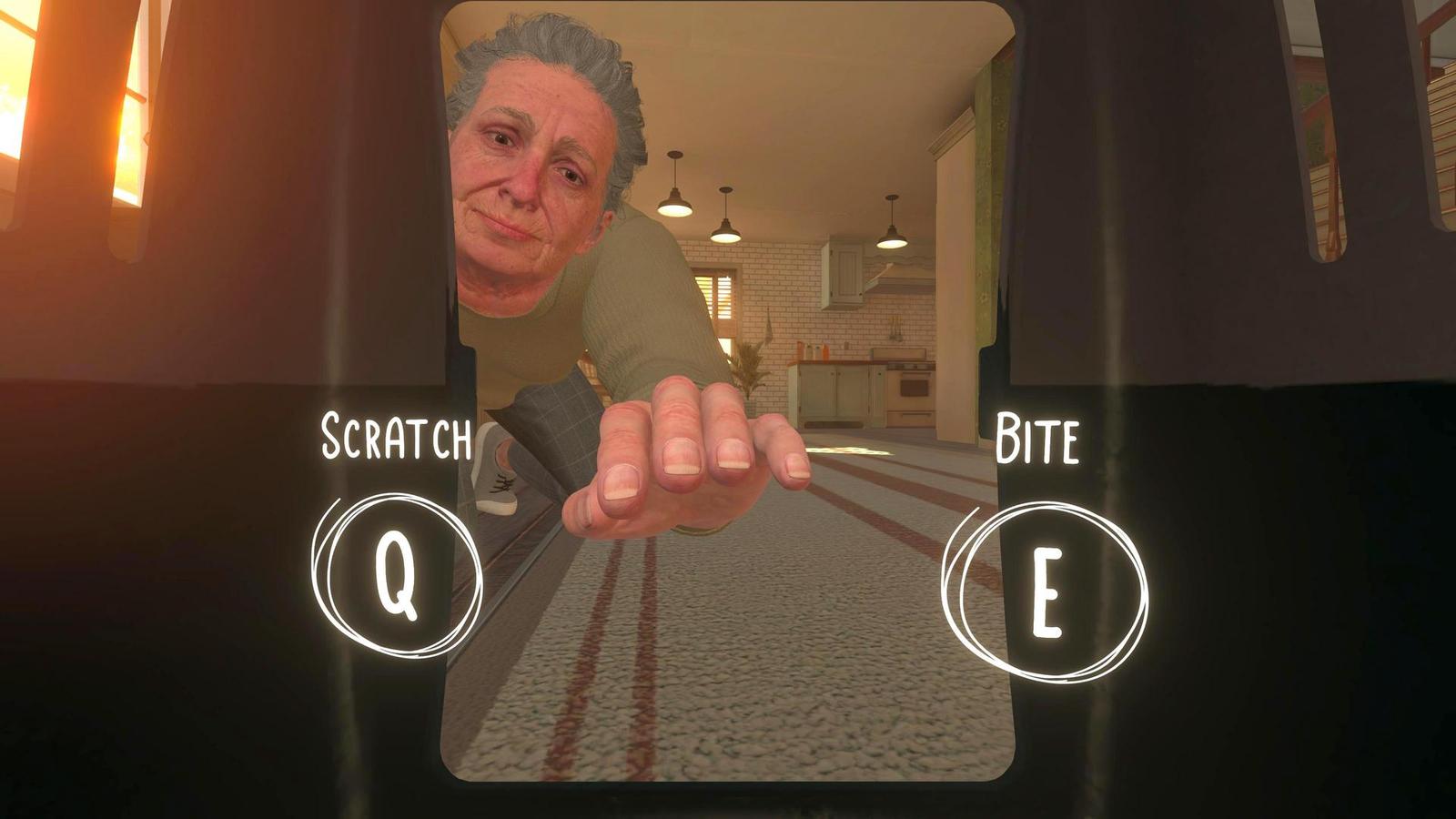 Cozy novinky s Terry #34