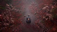 Pozadí pod obrázkem